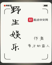 野生播放