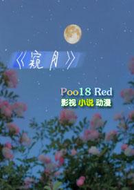 窥月豪门h