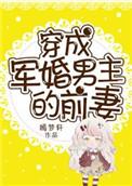 穿成军婚男主的前妻晋江