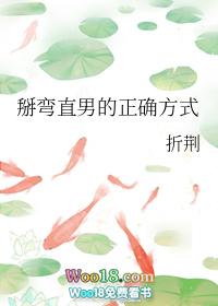 掰弯直男的一百种方法