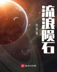 流浪陨石类似