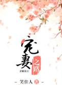 宠妻之路赵沉阿桔