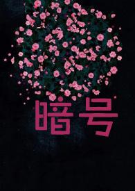 暗号电视剧