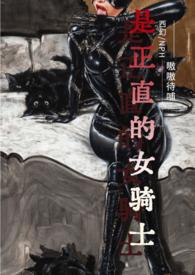 乙女游戏的女骑士西幻NPH
