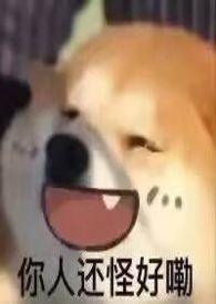 大小姐她笨笨的阅读