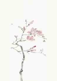 燕尔（古言）