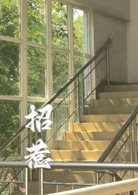 招惹