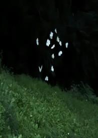 蔚然（兄妹）