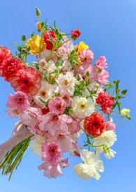 她是一朵难养的花(兄妹h)