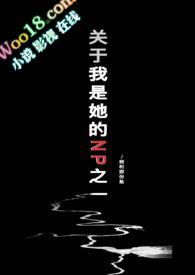 关于我是她NP之一(男重生)