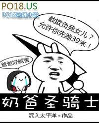 奶爸圣骑士