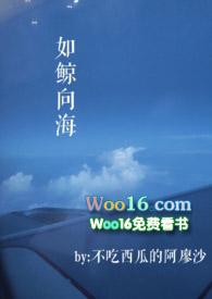 如鲸向海