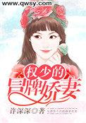权少的冒牌娇妻