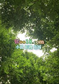 镜观 ()