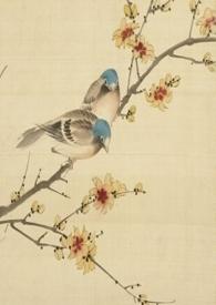 情花冊 古言