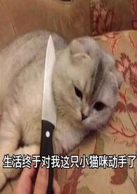 旧爱刚去，新欢不止