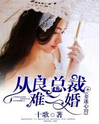 妻迷心窍,从良总裁难二婚