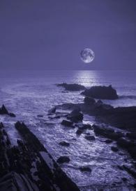 暗夜（ gl，bg）